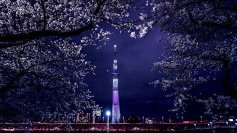 スカイツリー 夜景 - 未来都市の光と影